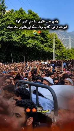 وادیِ جنت نظیر پر ہے