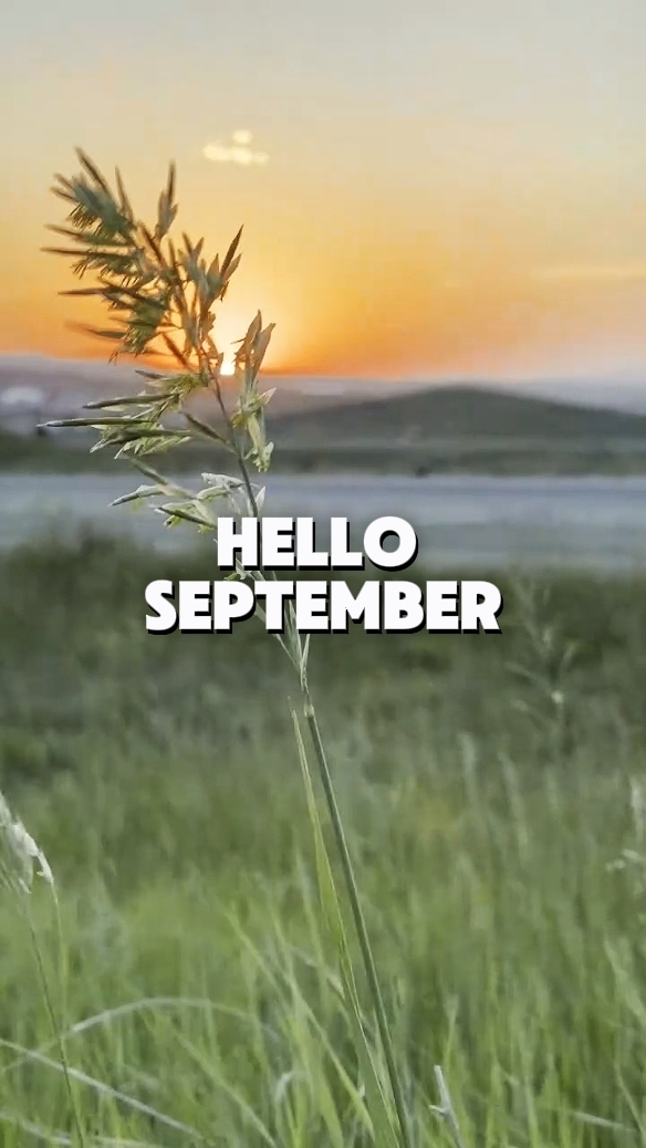 Olá setembro