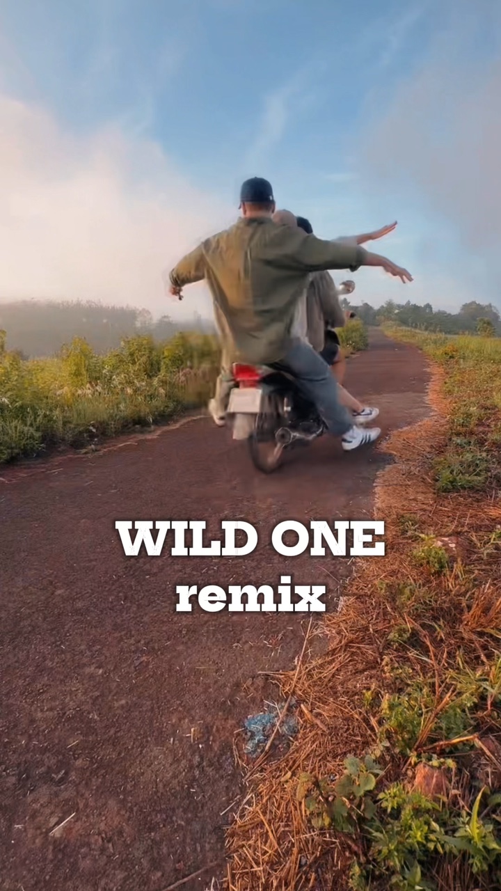 wild ones remix