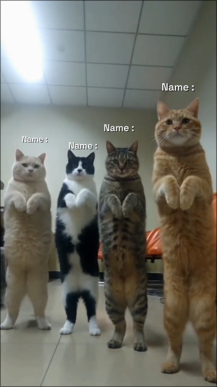 Tren Kucing Tari