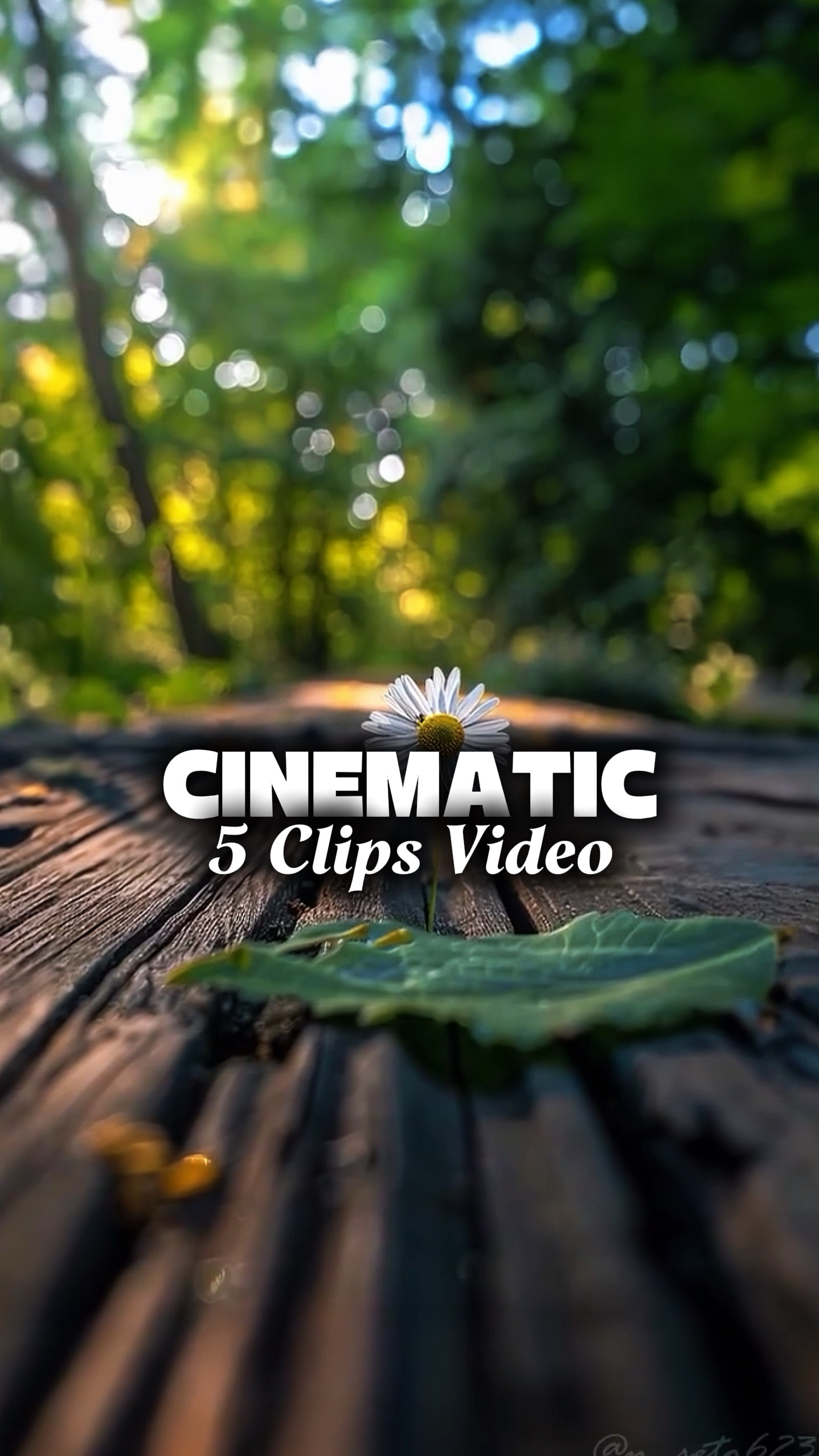 5 Vidéos Cinématiques
