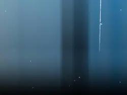 New TikTok viral tem