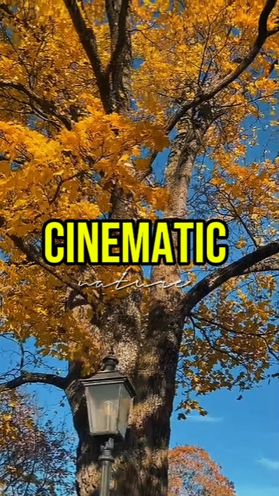 SİNEMATİK DOĞA 