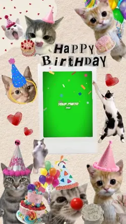 cat birthday