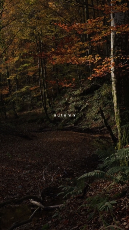 Herbst