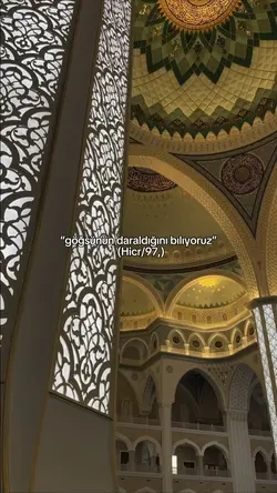 bu vıdeoyu neden