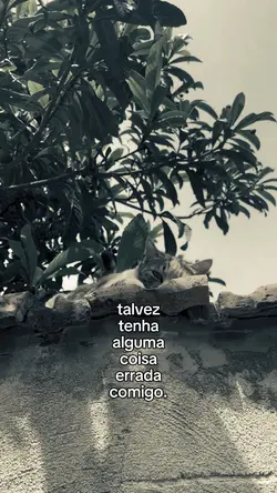 talvez