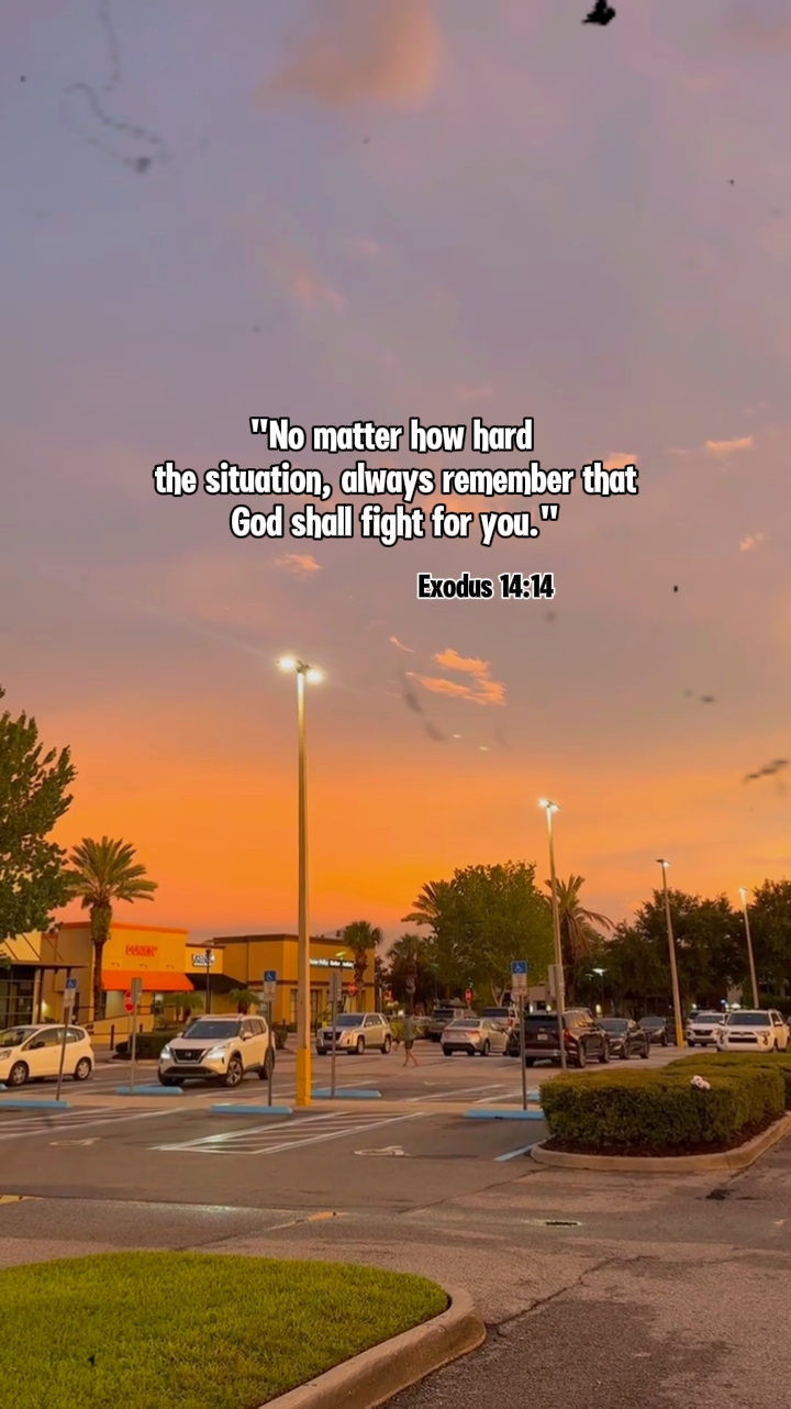 Éxodo 14: 14
