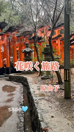 花咲く旅路　原由子
