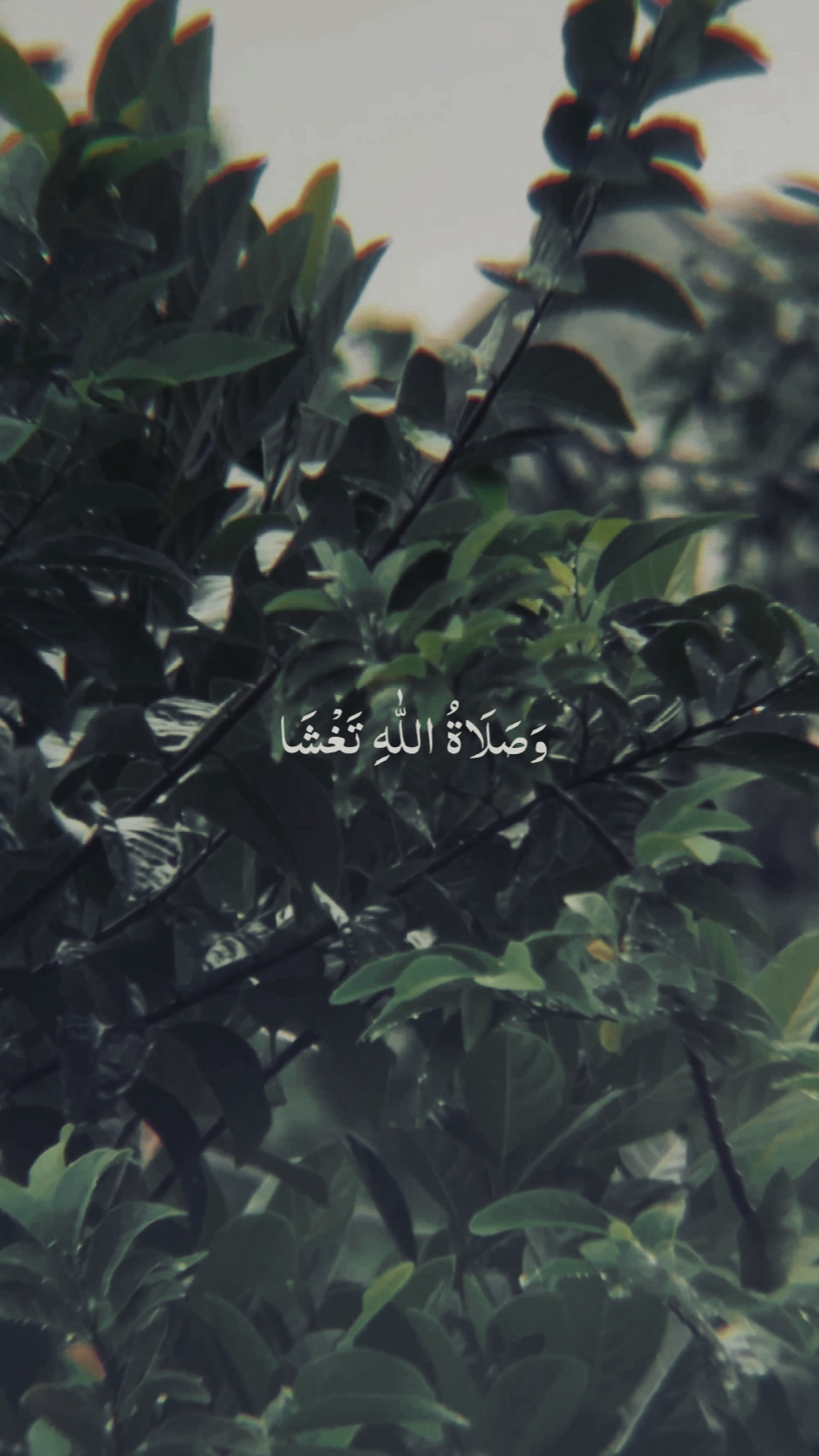 QIYAM MAHALUL