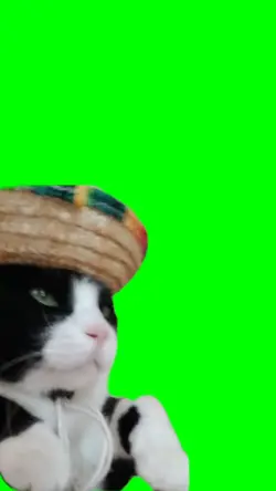 Fiestas Mexicanas
