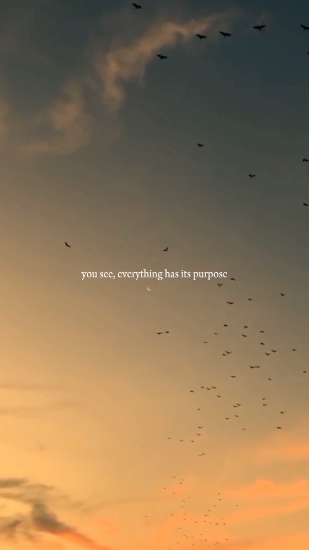 focus on yourself 