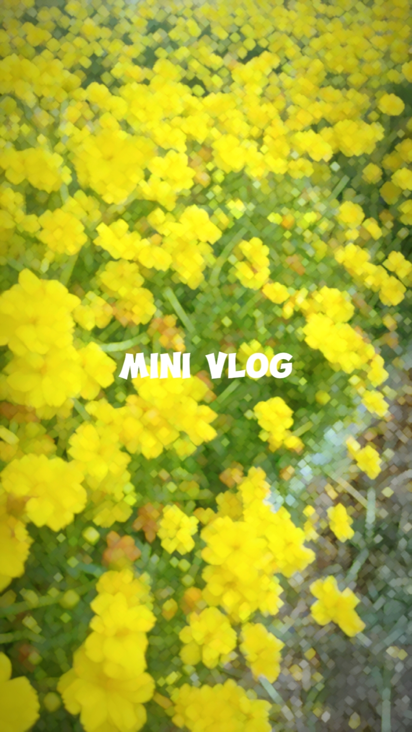 Mini Vlog 1 min