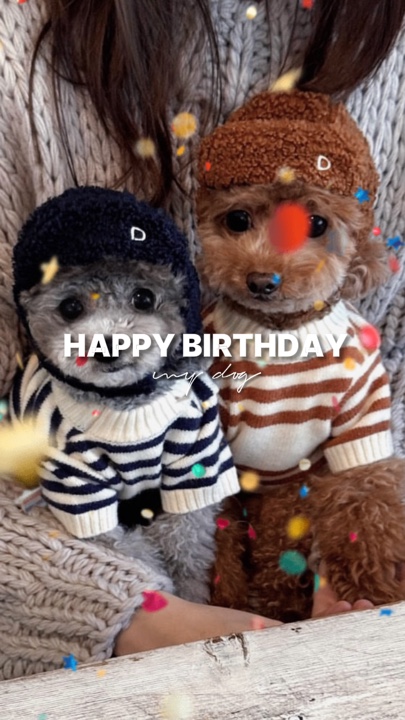 HPBD MEIN HUND