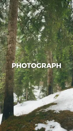 [2] Photograph