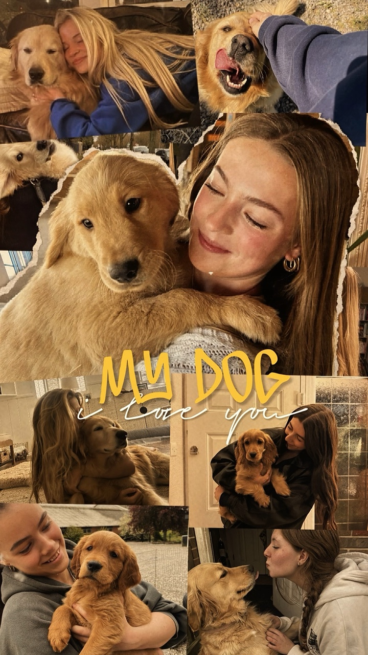My dog