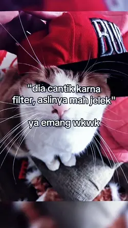 aslinya mah jelek