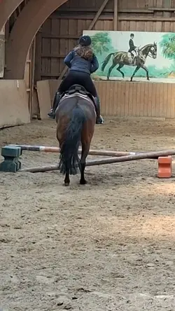 little jumpp