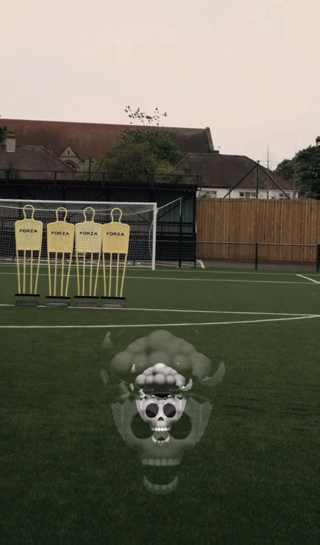 R. Carlos ? skull 💀 
