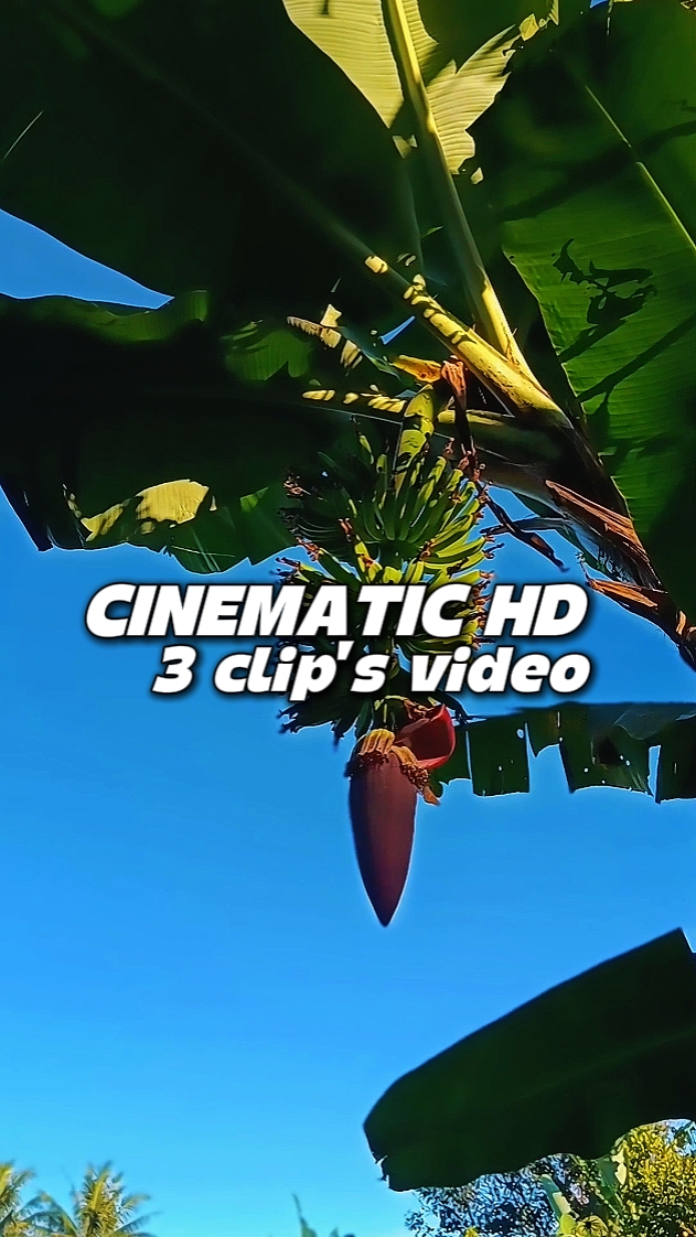CINEMATIC HD 