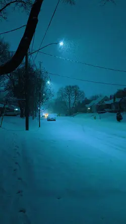 winter blue night