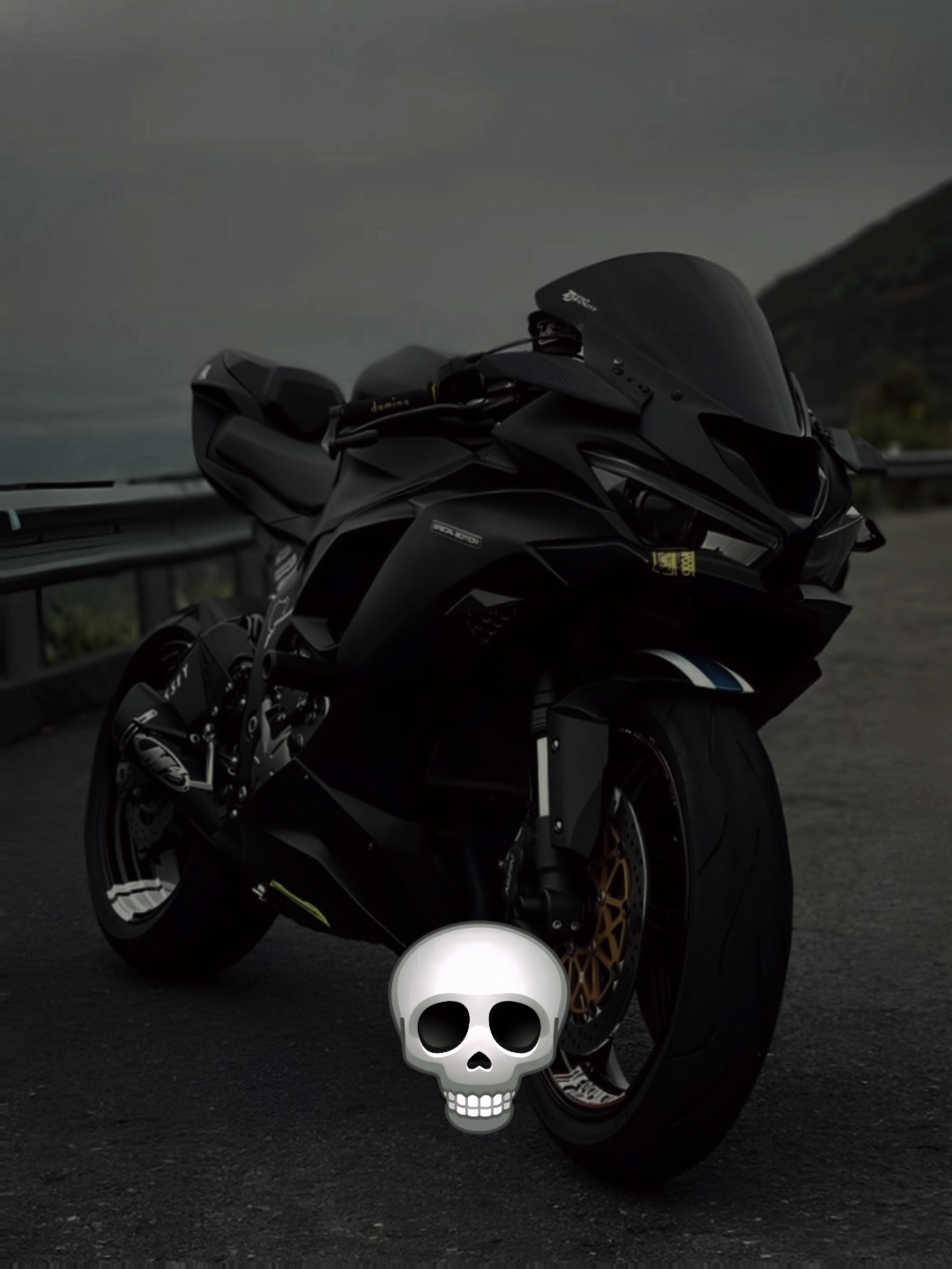 Bike lover
