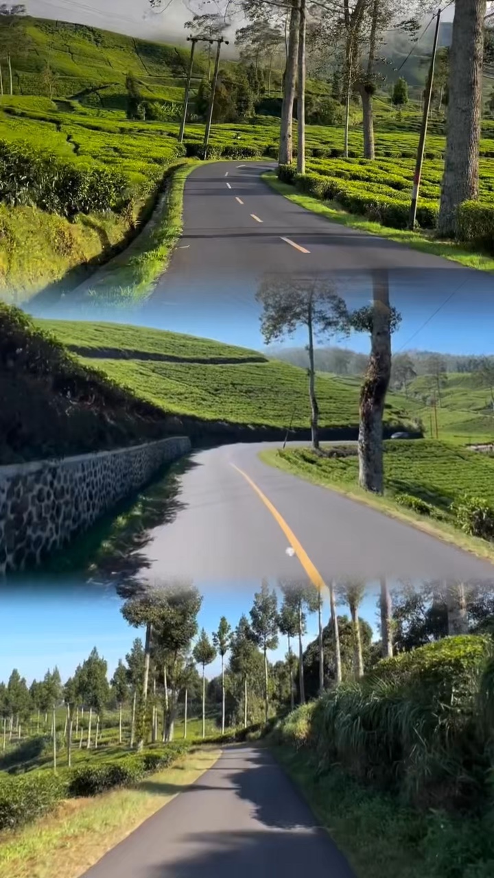 3 videos de historia de la carretera