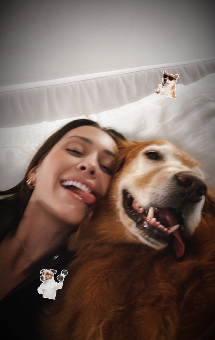 Lindo perrito
