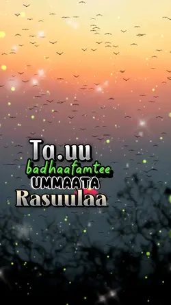 Rayya Abba Manca 