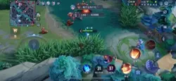 孤柒