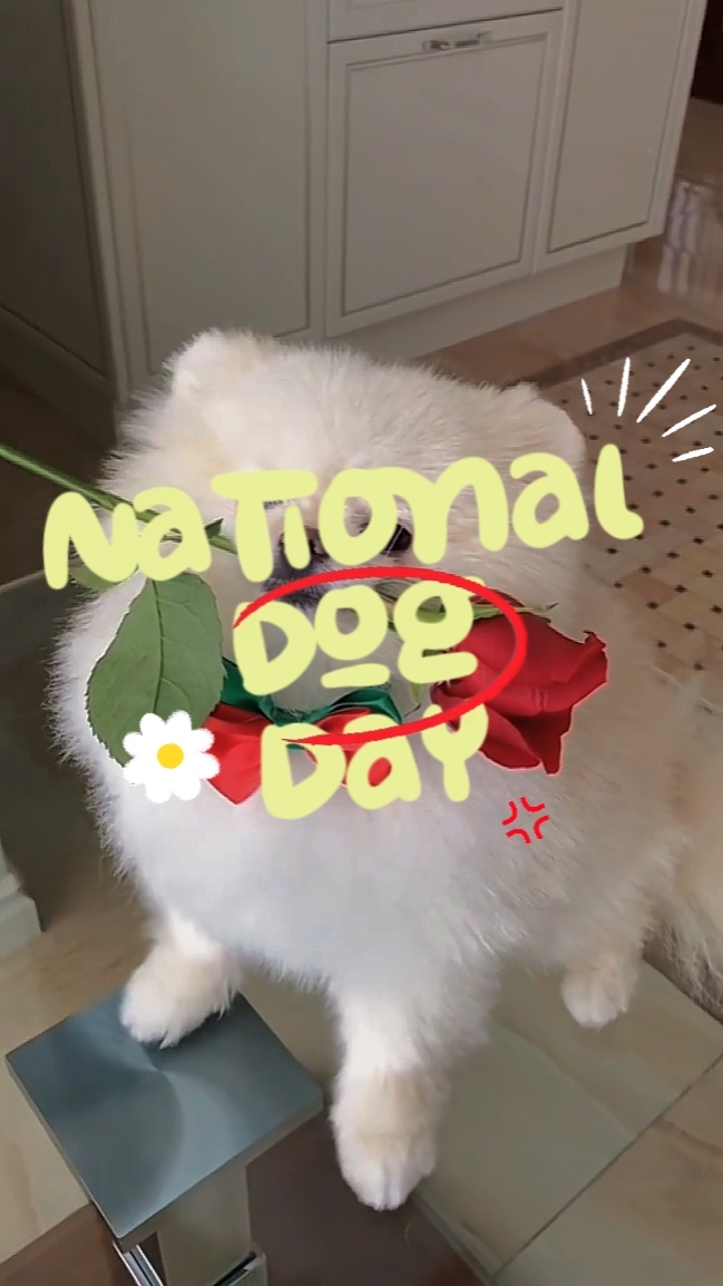 national dog day