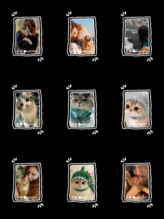 Cat Stories