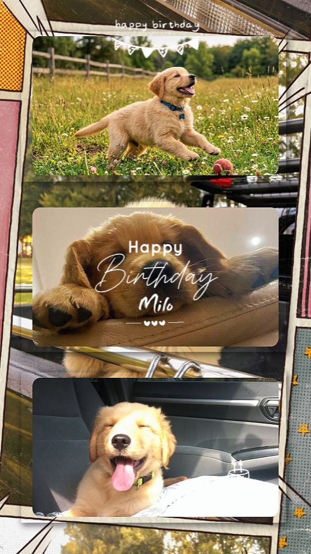 Selamat ulang tahun Milo