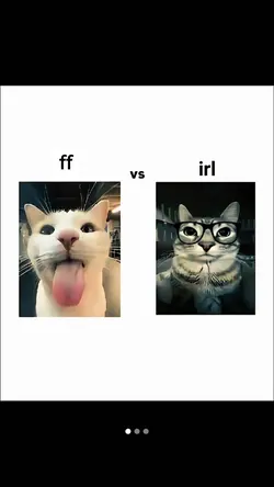 ff vs irl