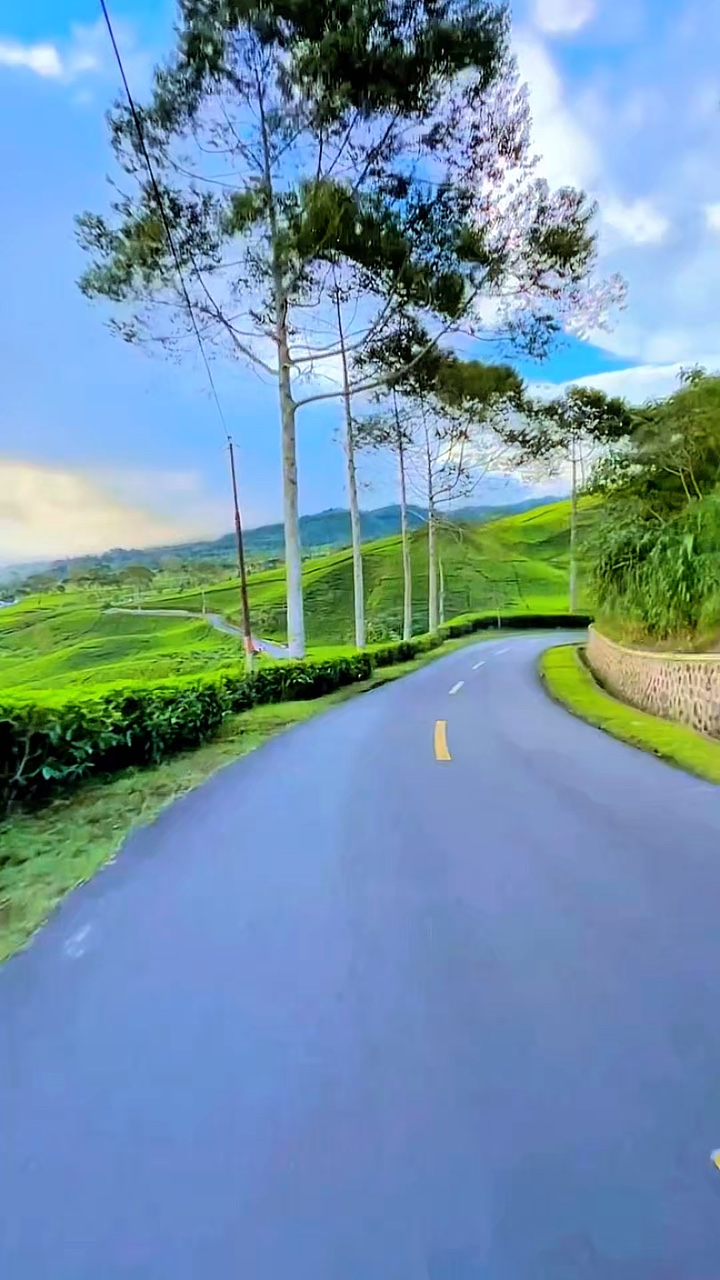 6 video road HD