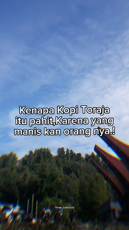 Kenapa Kopi Toraja
