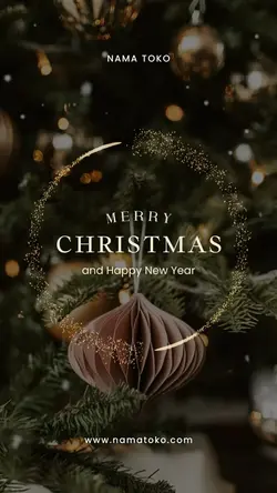 merry christmas 