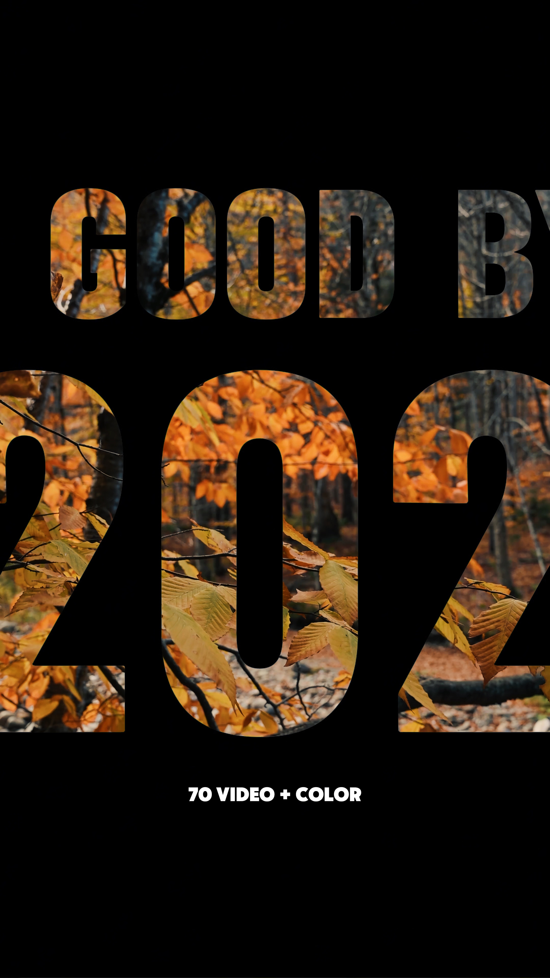 Good bye 2024