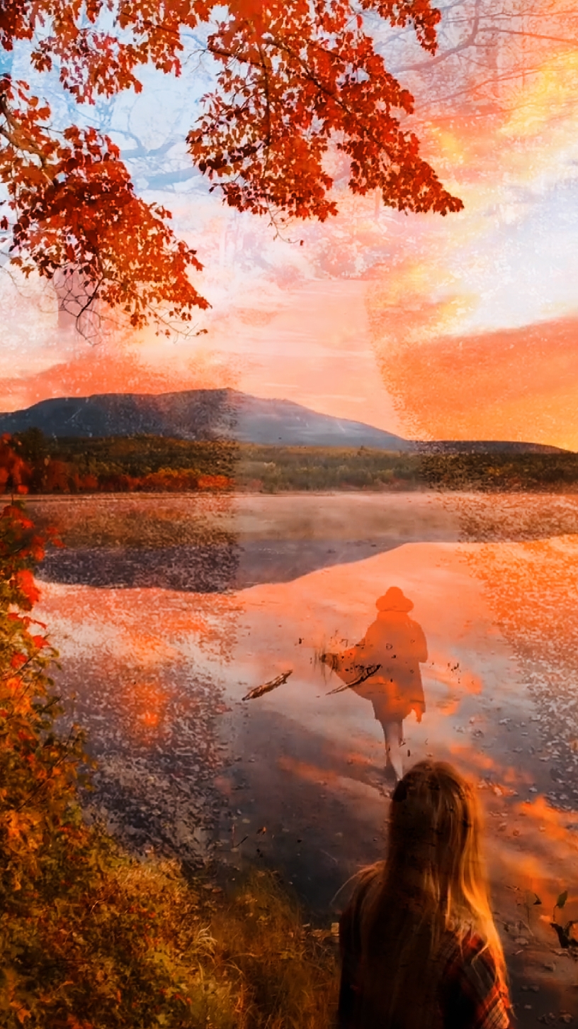 autumn vibes