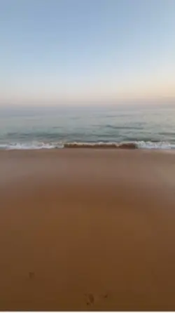 Ptn