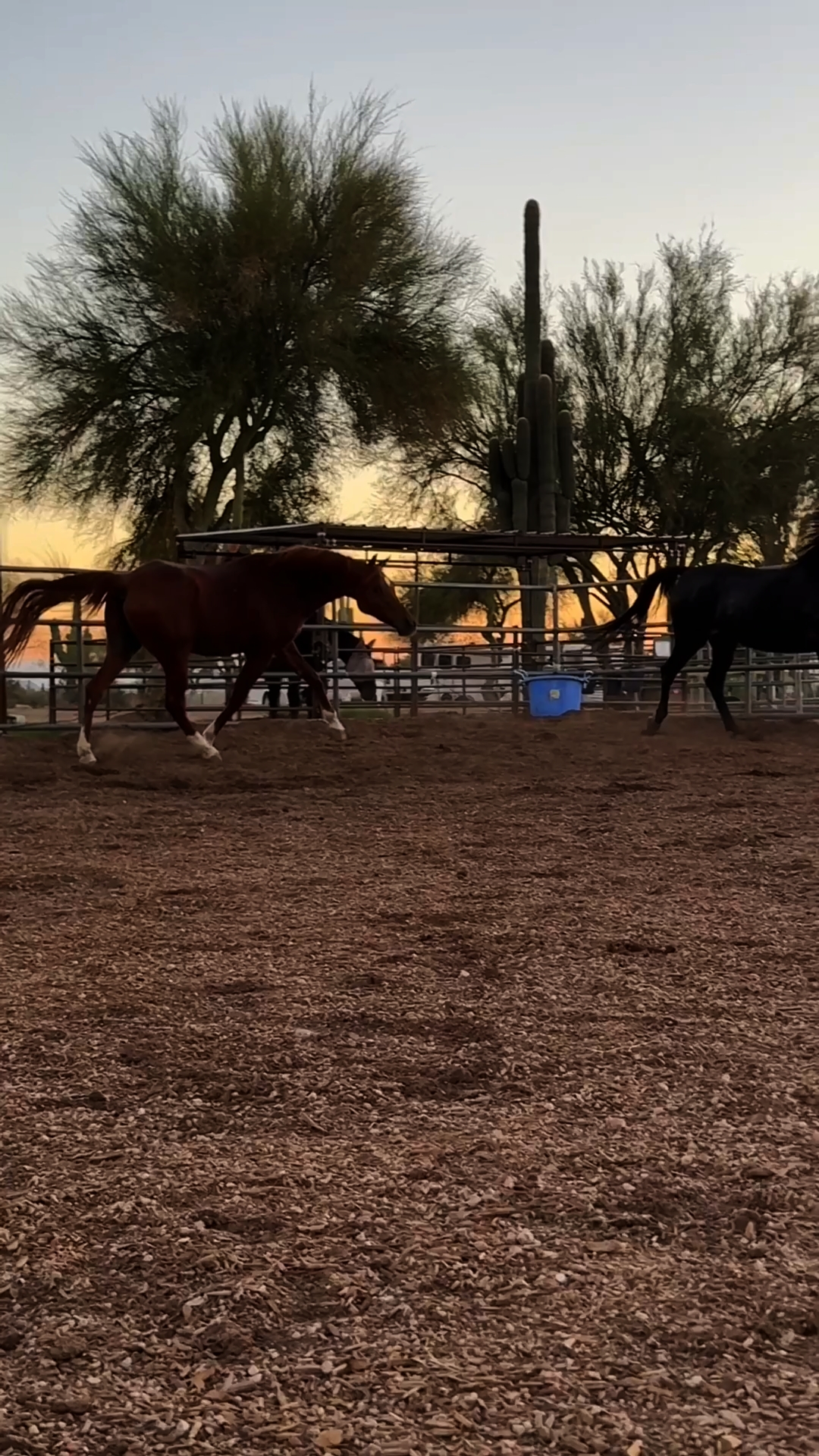 sunsets>>>