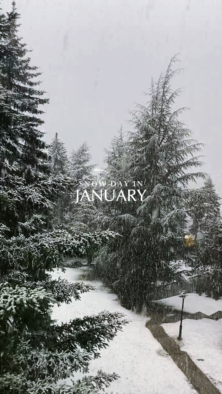 Vlog de nieve