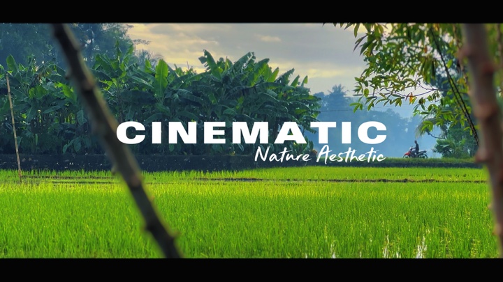 Cinematic Nature