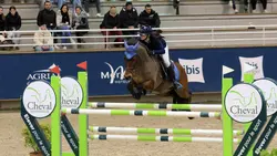 un poney en or