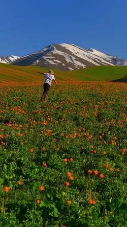 nature acalma..