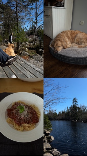 Collage vlog du dimanche 