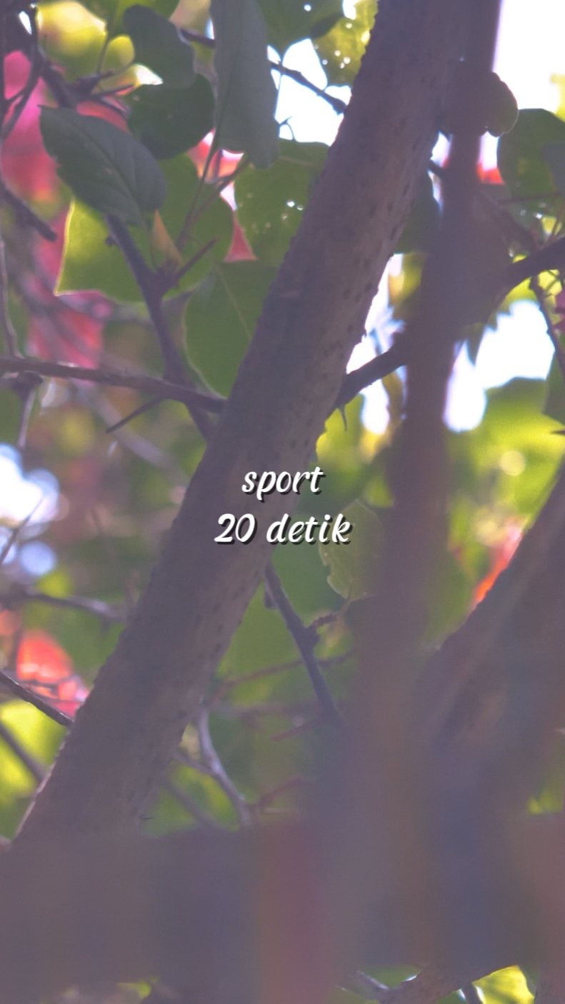 sport 20 detik
