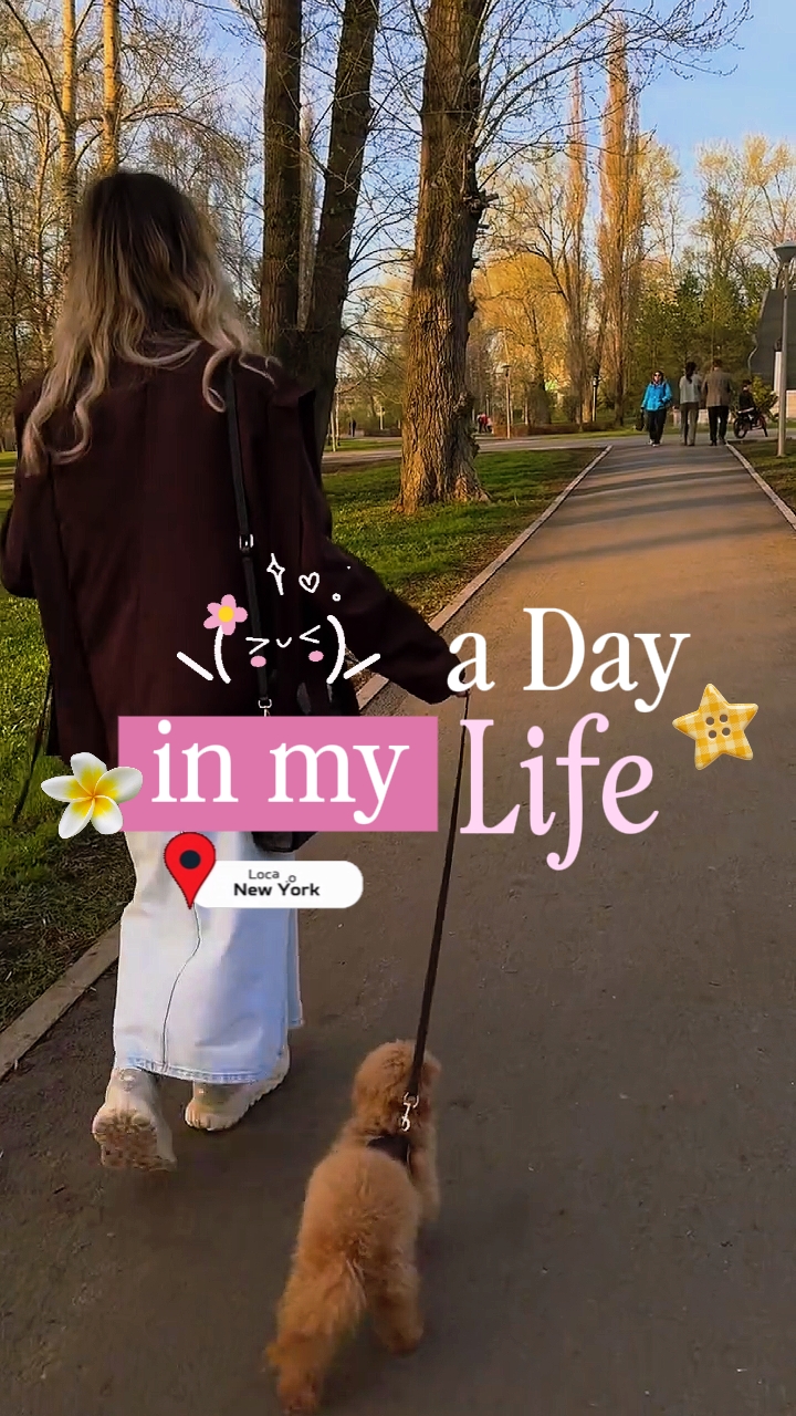 Introducción al mini vlog 