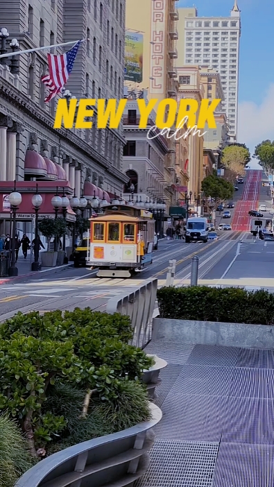 NEW YORK calm