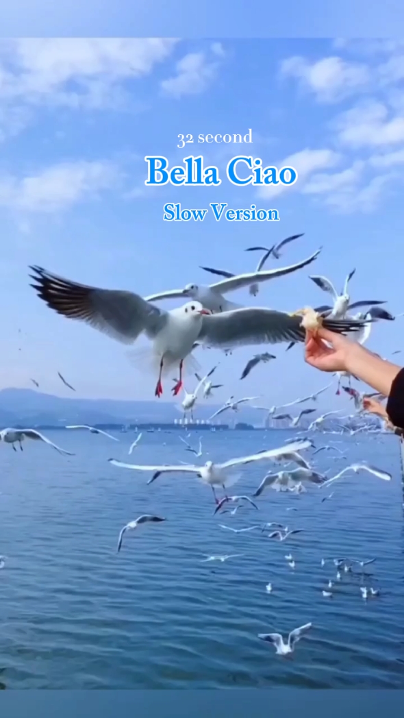 BellaCiaoSlowmotion